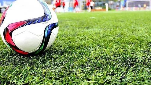 FIF7 takes precautionary measures to avoid that foreign teams be decharacterized