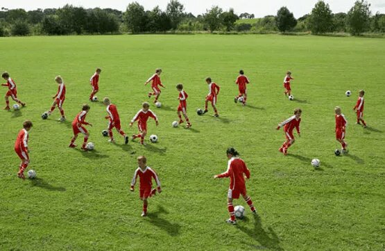 ANF7 is forming the country's children's teams for the League of Americas
