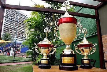 Cup Sudamericana will be the next stage of the competition